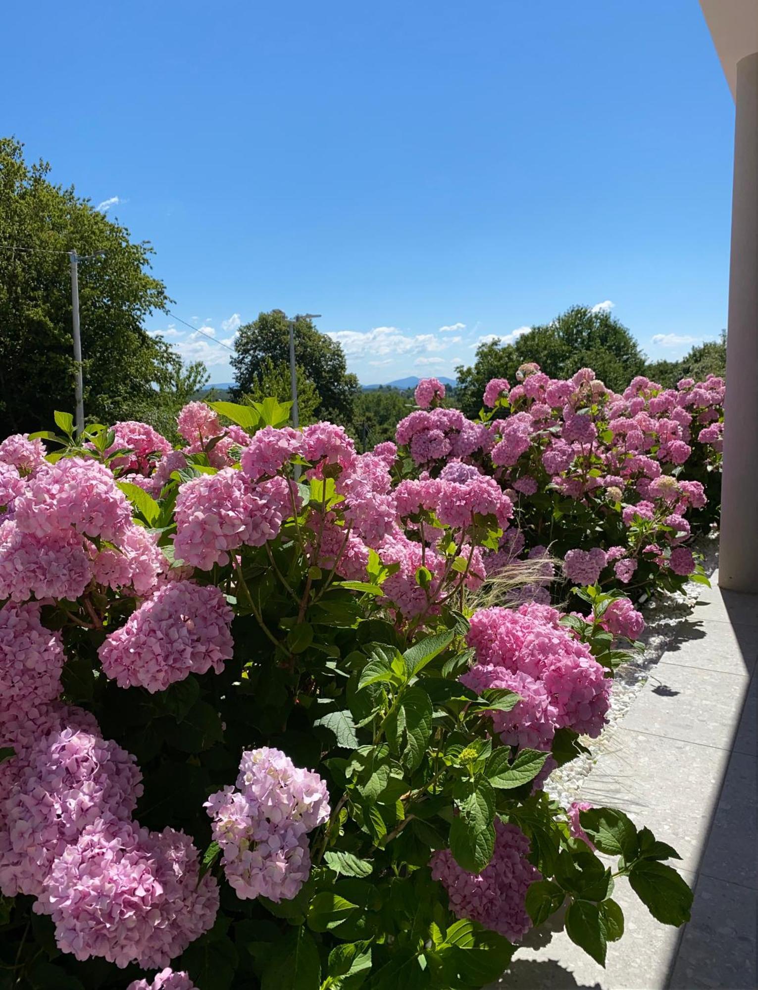 B&B Plitvice Area Natura Seliste Dreznicko Exterior photo